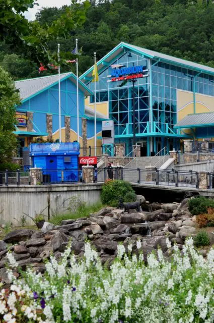 Ripley's Aquarium of the Smokies in Gatlinburg