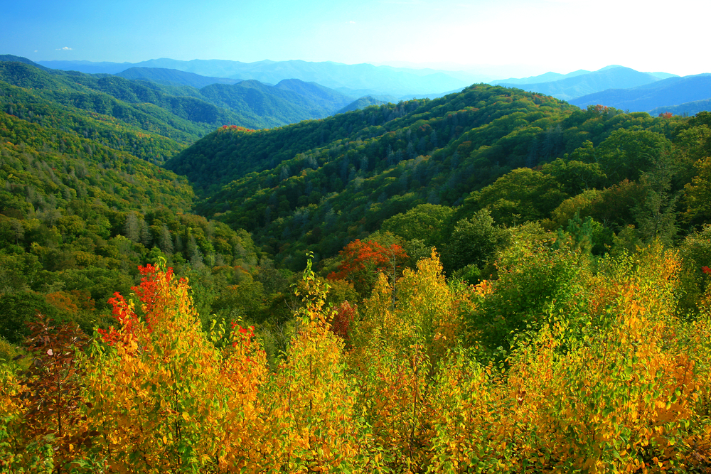 5 Of The Best One Bedroom Cabins In The Smoky Mountains For A